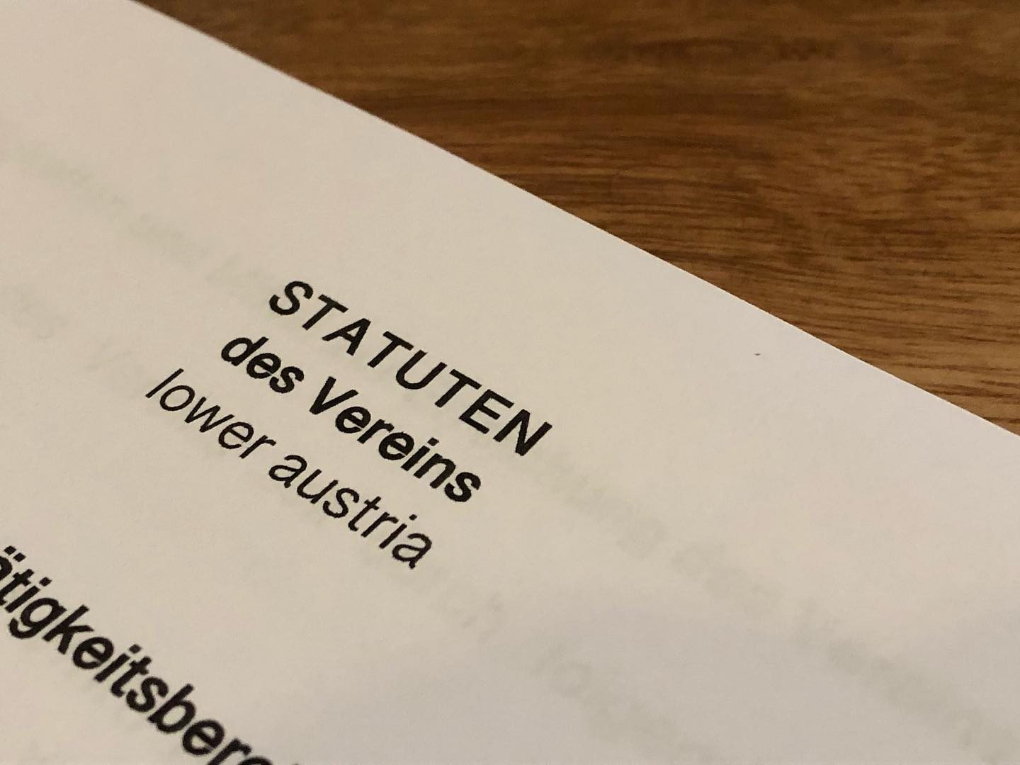 Instagram-Beitrag: Statuten des Vereins